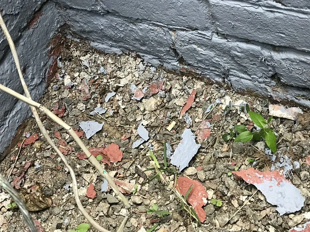 Top-rated landscape installation in Woonsocket, RI - Total Asset Solutions