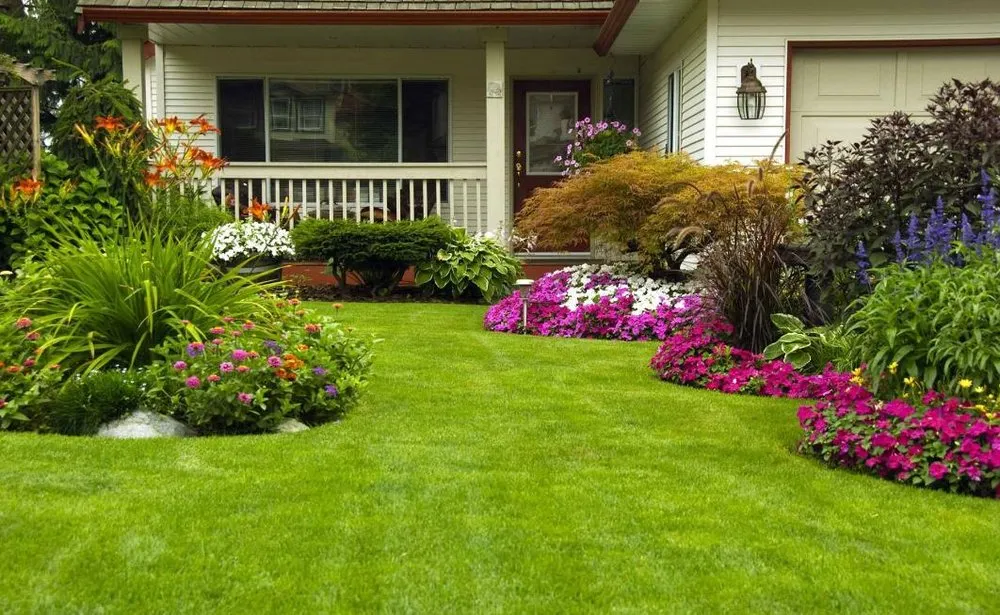 Expert lawn care service in Atlanta, GA by Total Brush Removal