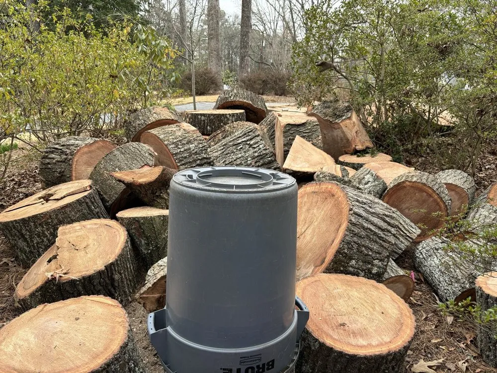 Top-rated yard cleanup service in Marietta, GA - Total Brush Removal