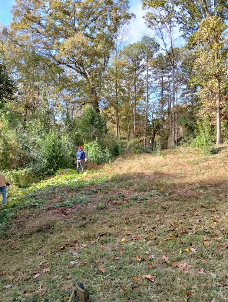 Professional landscape installation in Marietta, GA - Total Brush Removal