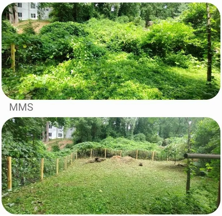 Trusted lawn mowing service for residential properties across Marietta, GA - Total Brush Removal