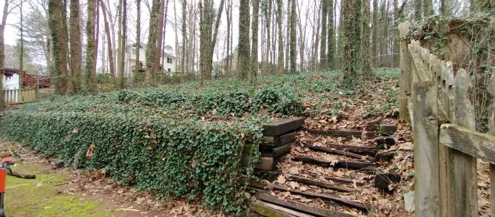 Expert landscape installation in Marietta, GA - Total Brush Removal