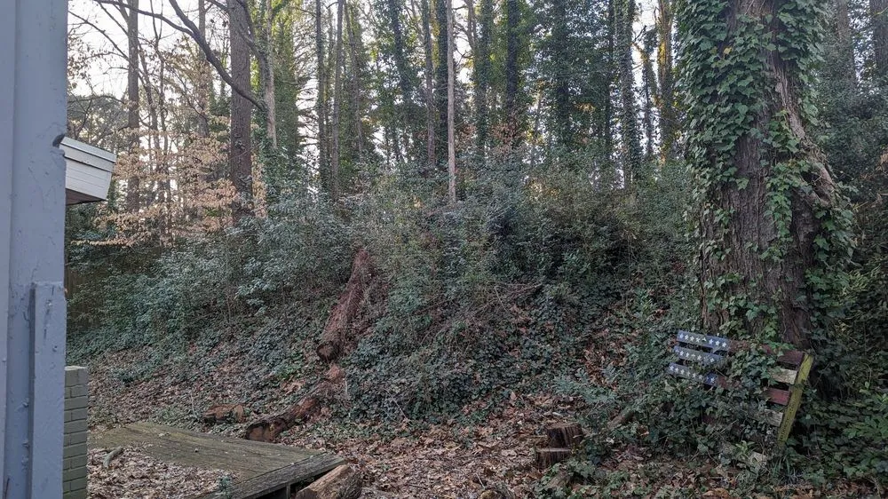 Trusted landscape installation for year-round maintenance in Marietta, GA by Total Brush Removal