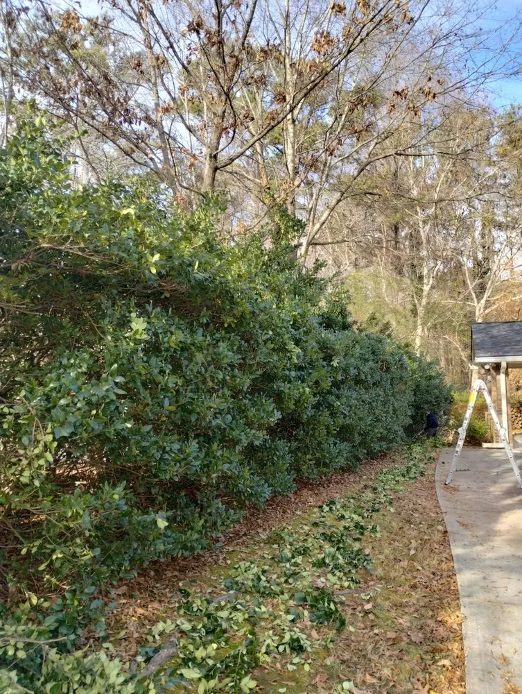 Reliable yard maintenance in Marietta, GA - Total Brush Removal