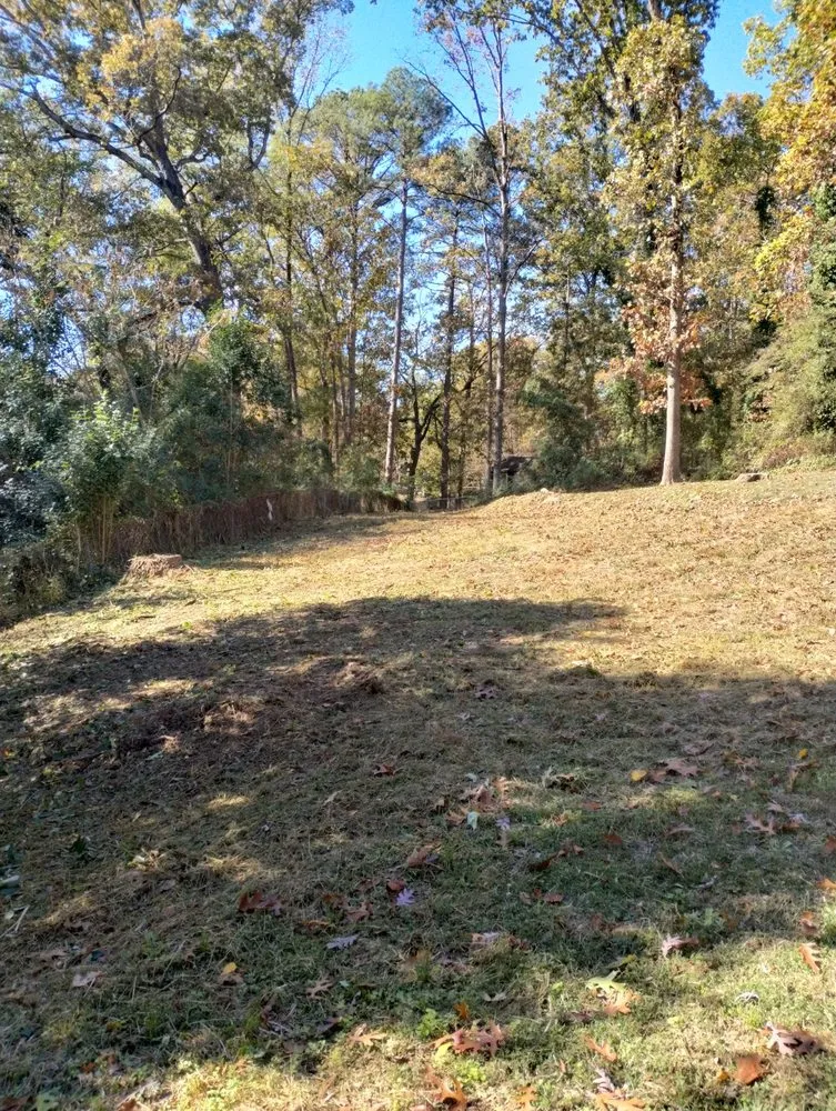 Top-rated yard maintenance for homes in Marietta, GA by Total Brush Removal