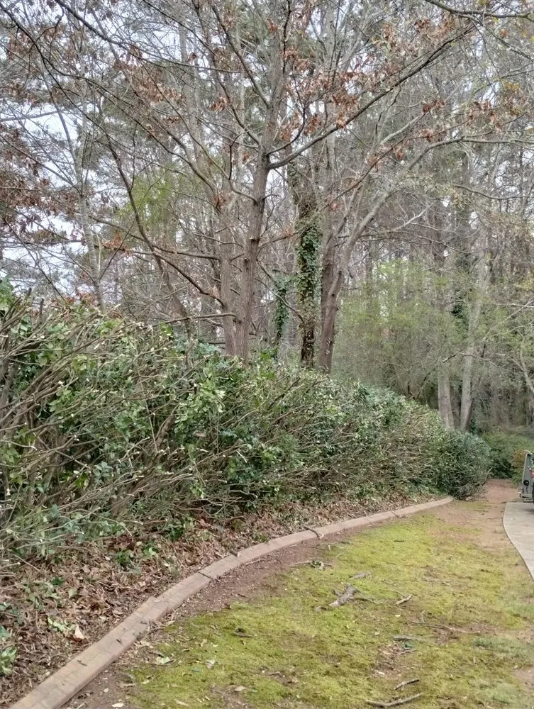 Professional landscaping services experts serving Marietta, GA - Total Brush Removal