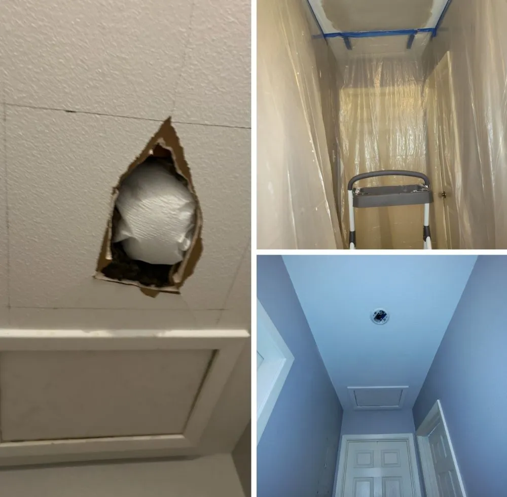 Top-rated landscaping services in Corpus Christi, TX - Total Care Home Solutions