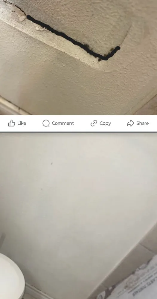 Professional lawn mowing service with custom design across Corpus Christi, TX - Total Care Home Solutions