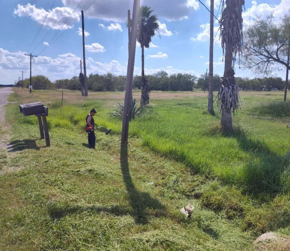 Local yard cleanup service in Corpus Christi, TX by Total Care Home Solutions