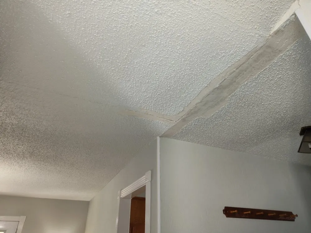 Expert landscaping services for beautiful yards in Corpus Christi, TX by Total Care Home Solutions