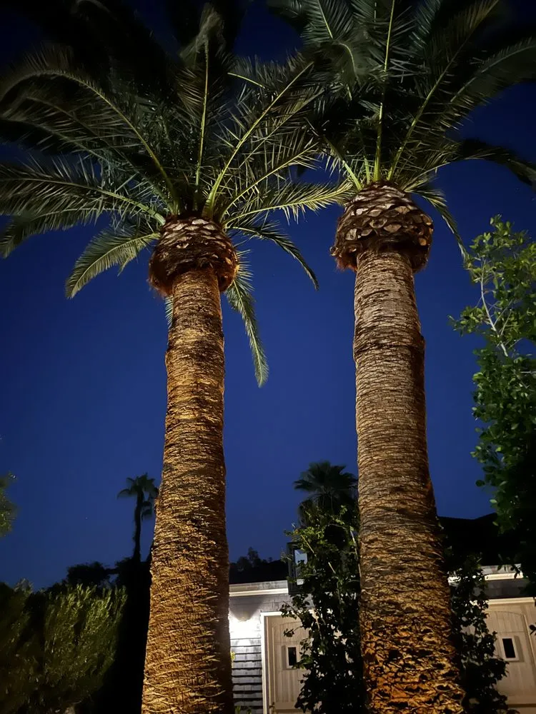 Top-rated lawn mowing service in Phoenix, AZ - Total Care Landscape