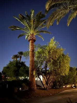 Total Care Landscape Logo