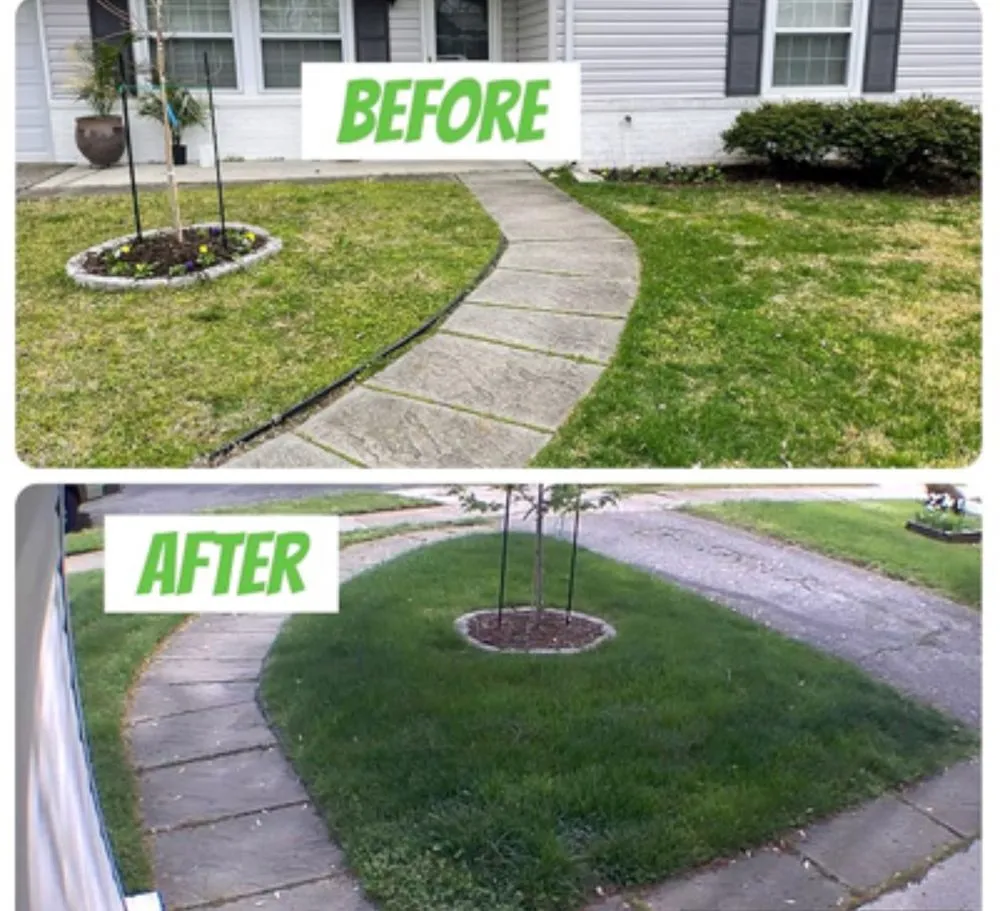 Custom yard cleanup service in San Fernando Valley, CA by Total Care Landscaping