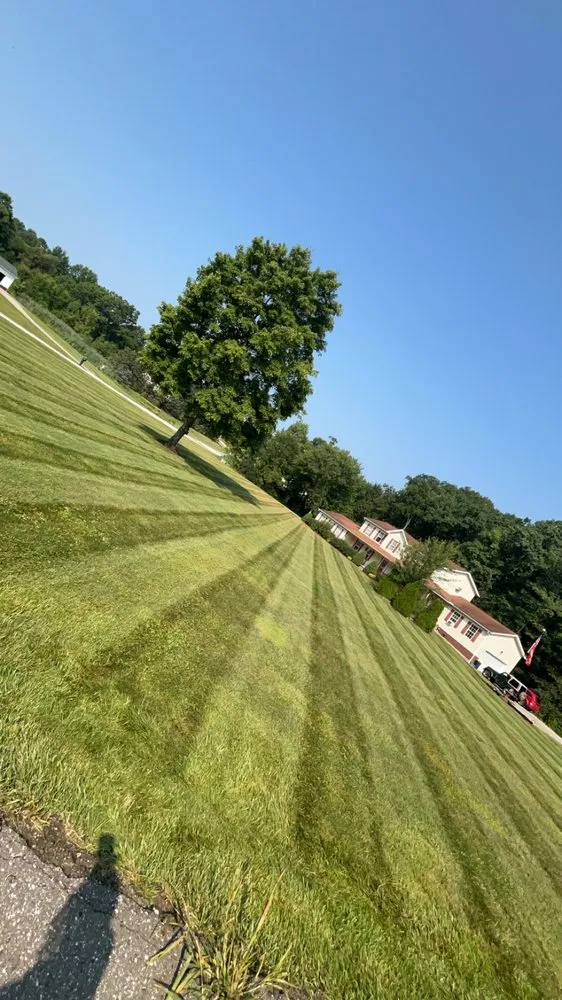 Reliable yard maintenance experts serving Akron, OH - Total Care Lawn and Garden