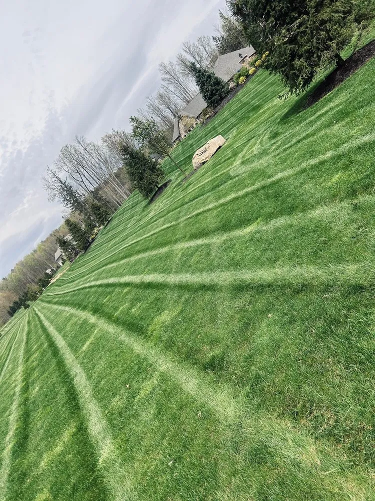 Trusted yard cleanup service for homes across Akron, OH - Total Care Lawn and Garden