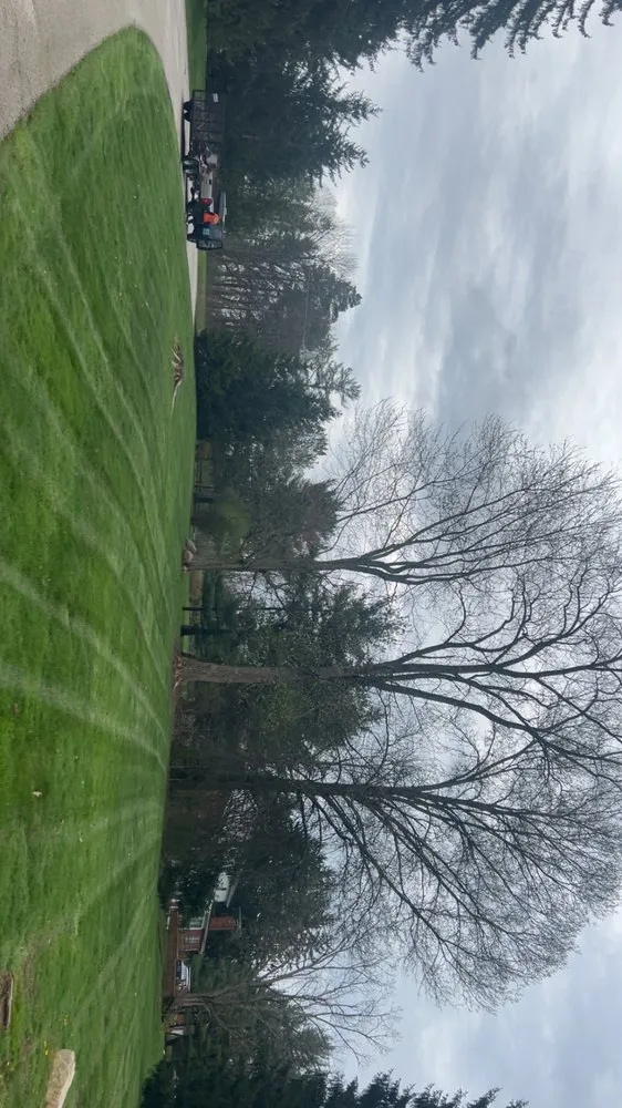 Affordable landscape design in Akron, OH by Total Care Lawn and Garden