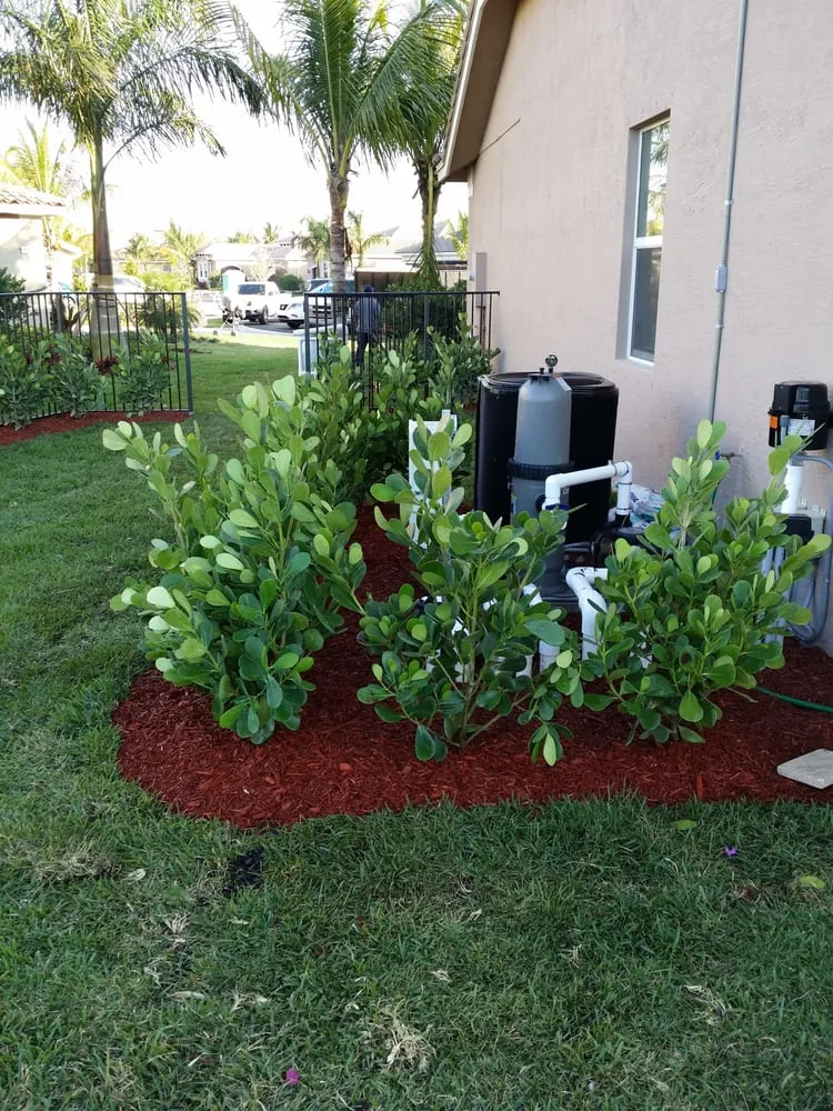 Expert lawn mowing service experts serving Delray Beach, FL - Total Care Property Maintenance Group