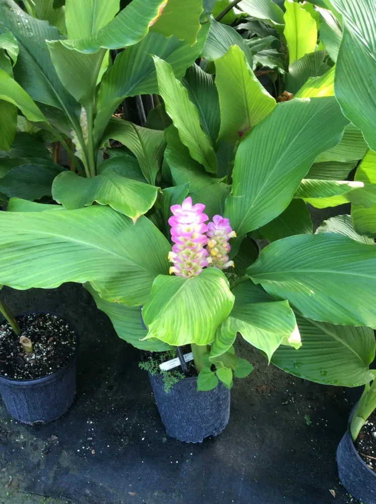 Professional landscape installation for outdoor upgrades across Delray Beach, FL - Total Care Property Maintenance Group