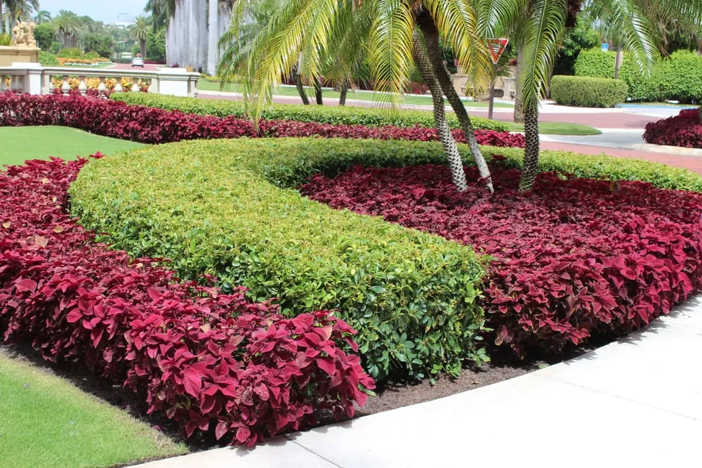 Reliable landscape design in Delray Beach, FL by Total Care Property Maintenance Group