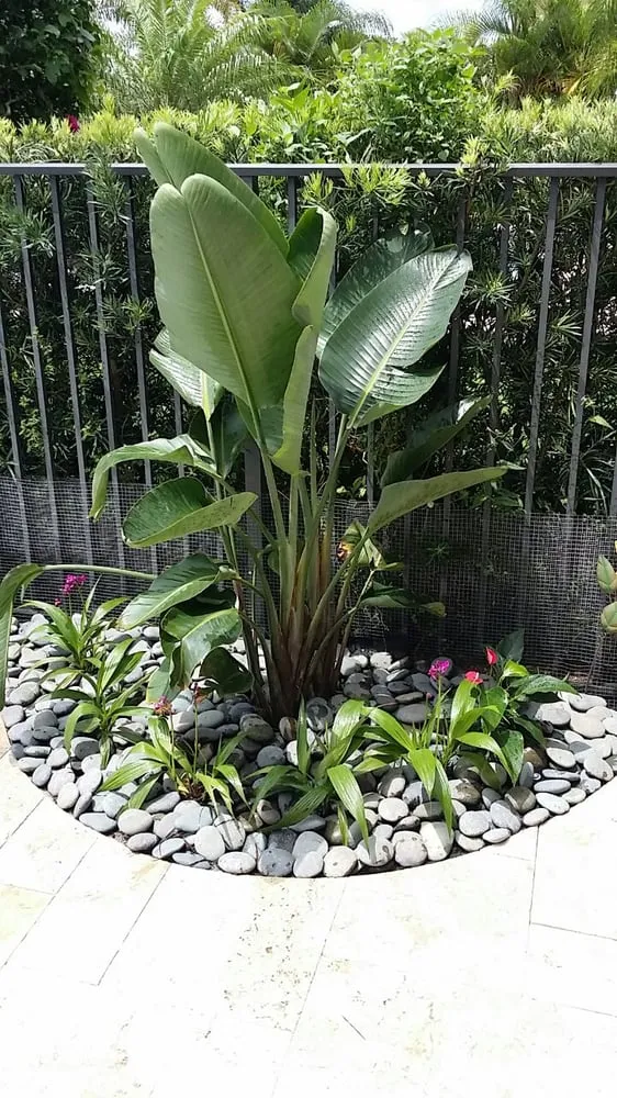 Affordable garden landscaping experts serving Delray Beach, FL - Total Care Property Maintenance Group