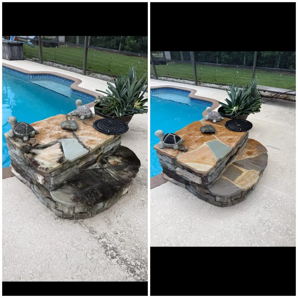 Reliable landscape design for year-round maintenance across Ocala, FL - Total Care Pros