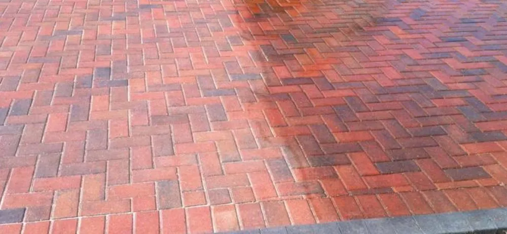 Professional landscaping services for residential properties in Ocala, FL by Total Care Pros