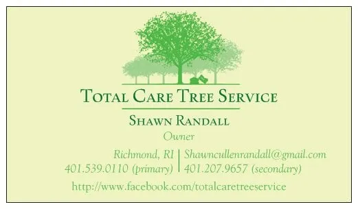 Expert yard cleanup service experts serving Richmond, RI - Total Care Tree Service