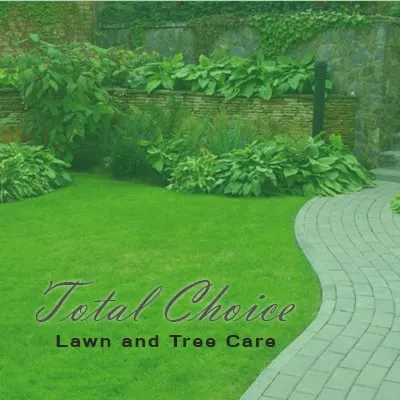 Reliable yard cleanup service experts serving Indianapolis, IN - Total Choice Lawn Care