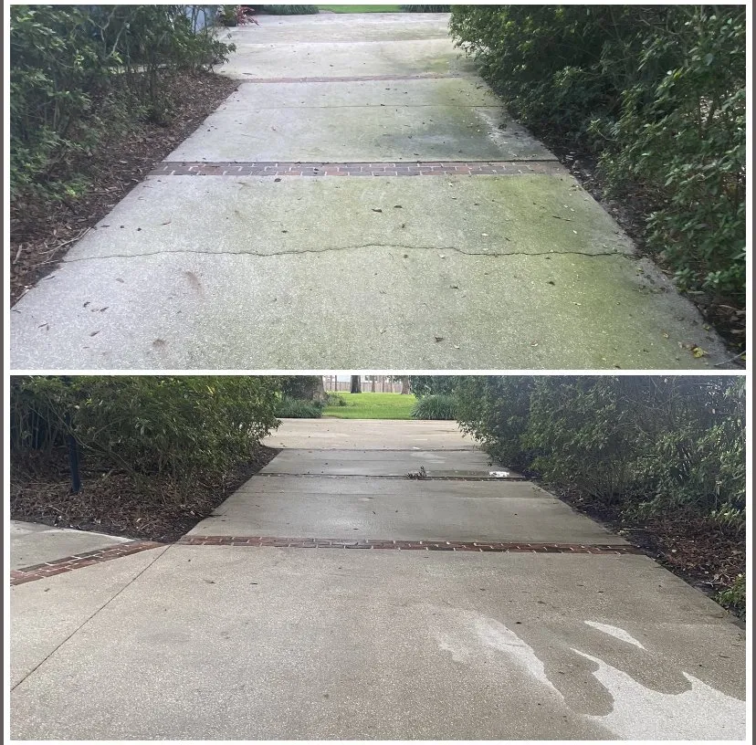 Local residential landscaping for outdoor upgrades in Orlando, FL by Total Estate Care