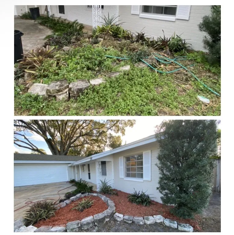 Local yard cleanup service in Orlando, FL by Total Estate Care