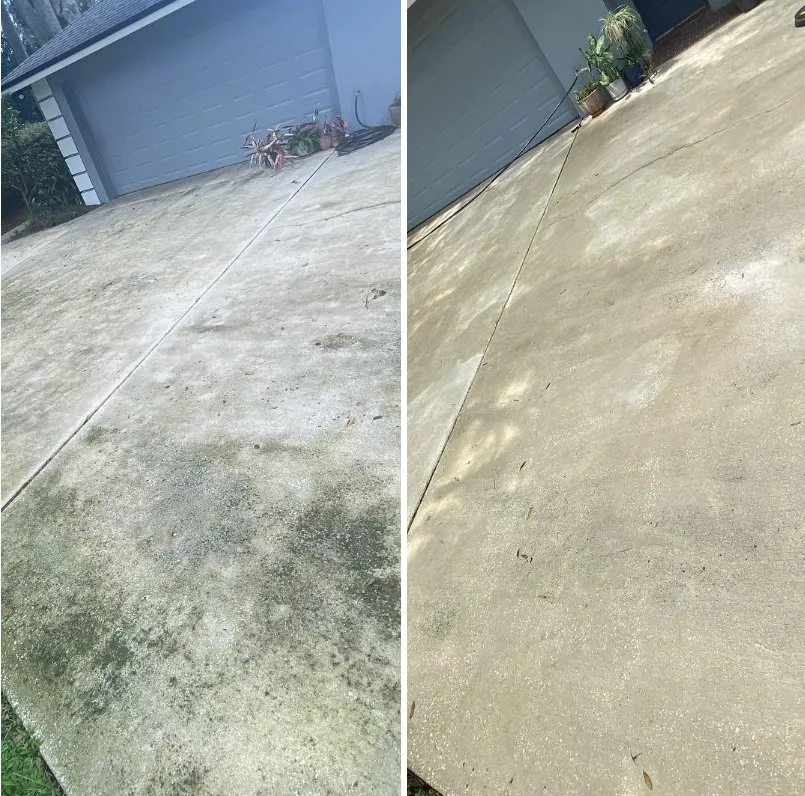 Trusted lawn care service for residential properties across Orlando, FL - Total Estate Care