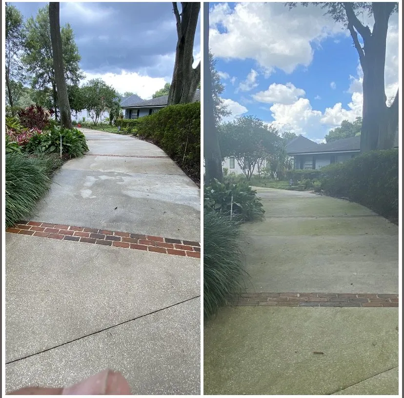 Reliable lawn mowing service in Orlando, FL by Total Estate Care