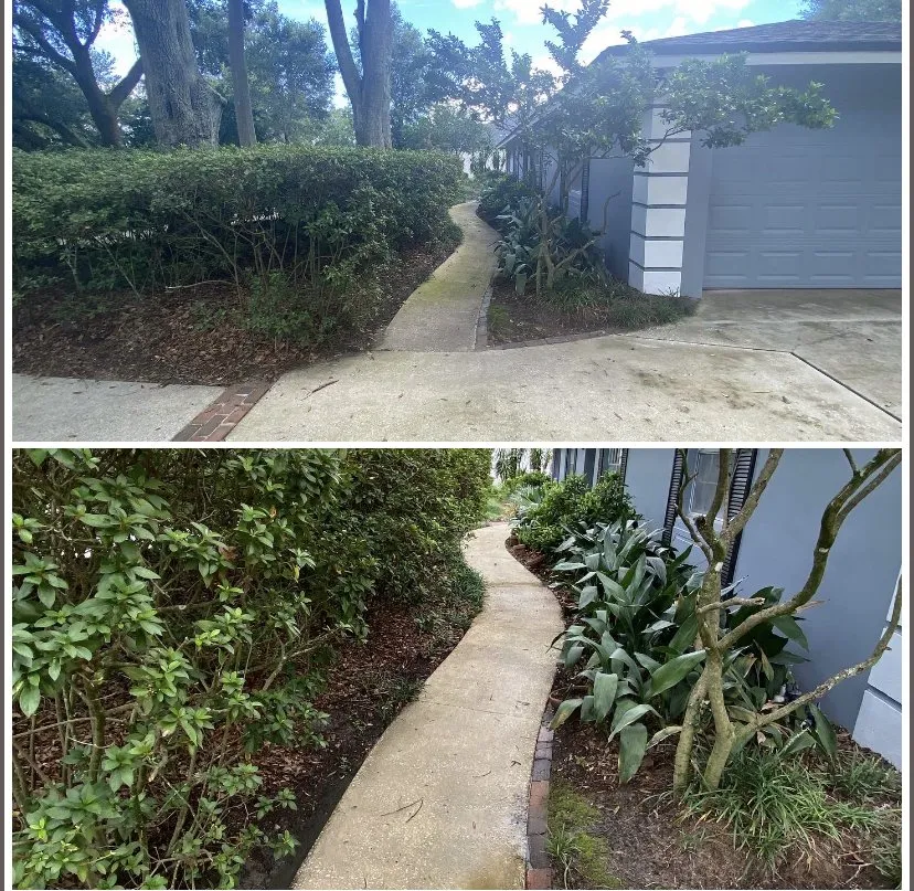 Trusted yard maintenance in Orlando, FL by Total Estate Care