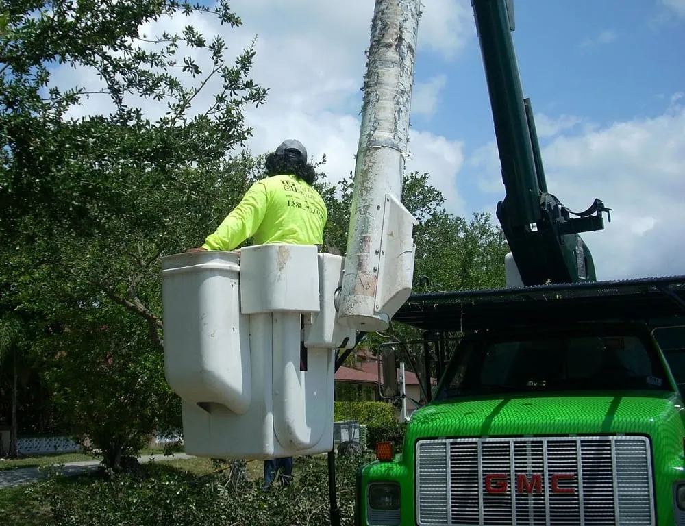 Professional residential landscaping for residential properties across Doral, FL - Total Facility Solutions