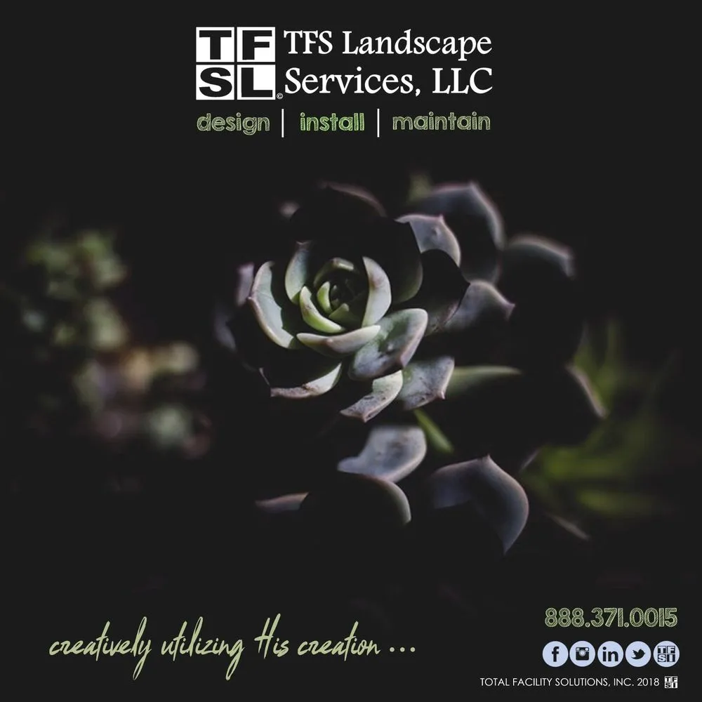 Professional outdoor landscaping for residential properties across Miami, FL - Total Facility Solutions