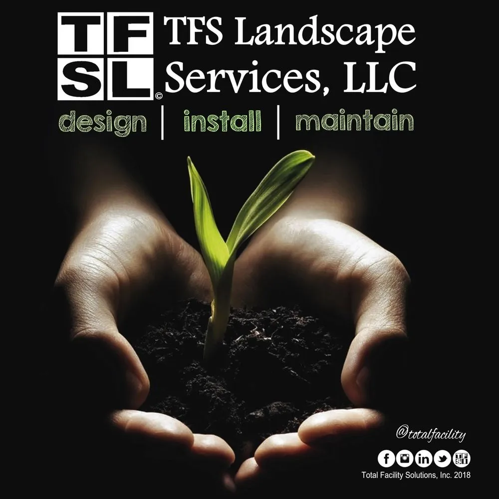 Expert yard cleanup service in Miami, FL - Total Facility Solutions