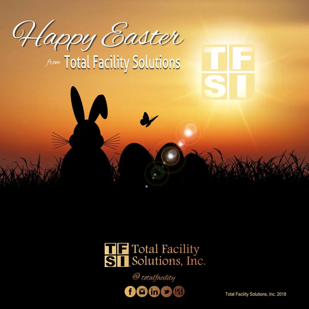 Top-rated yard cleanup service with custom design in Miami, FL by Total Facility Solutions