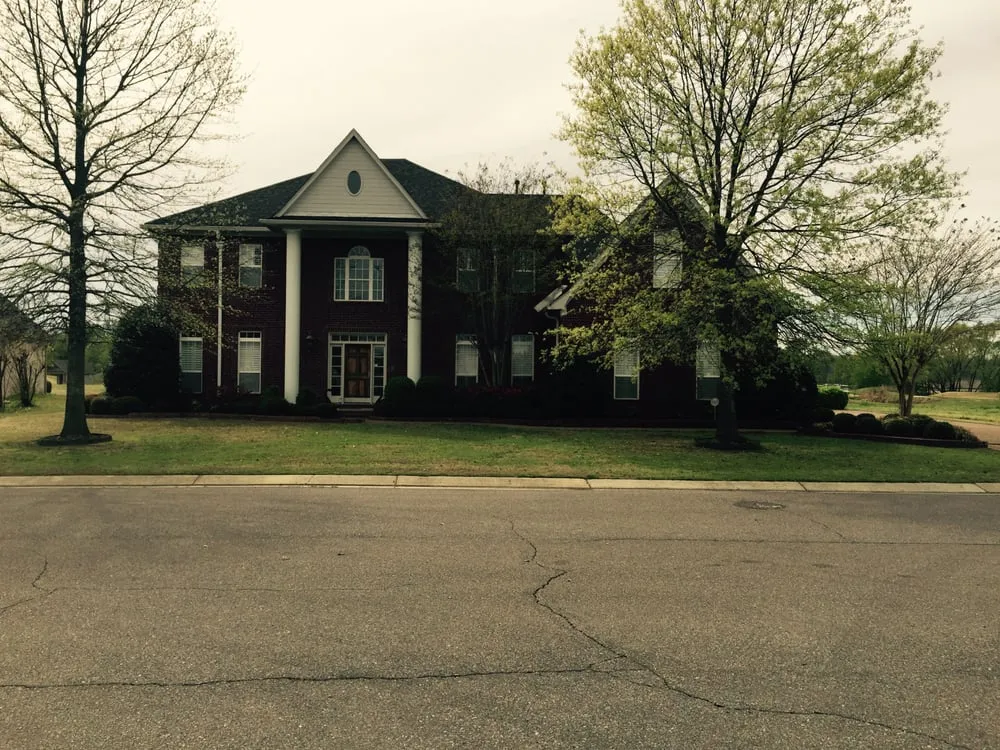 Expert yard cleanup service in Holly Springs, MS - Total Focus Lawn Services