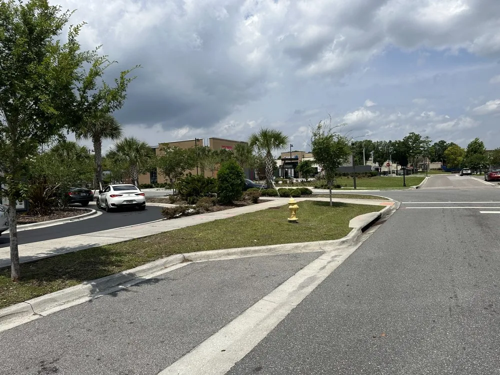 Local yard cleanup service experts serving Apopka, FL - Total Green Lawn