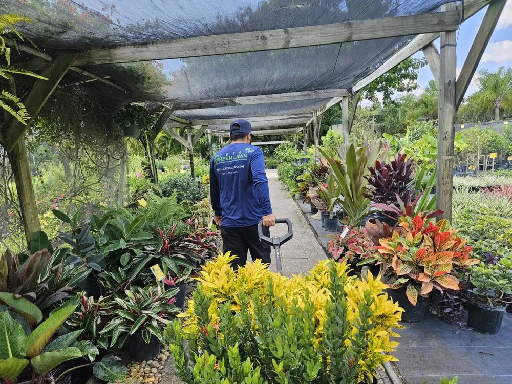 Professional landscape installation for beautiful yards in St. Cloud, FL by Total Green Lawn