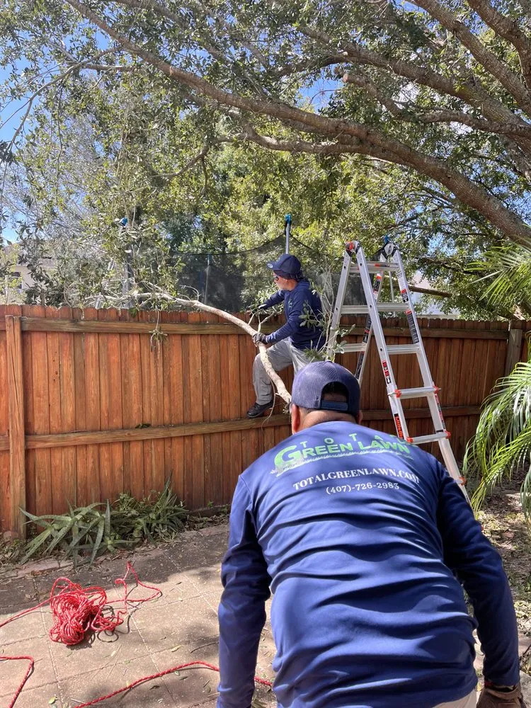 Affordable garden landscaping for beautiful yards in St. Cloud, FL by Total Green Lawn