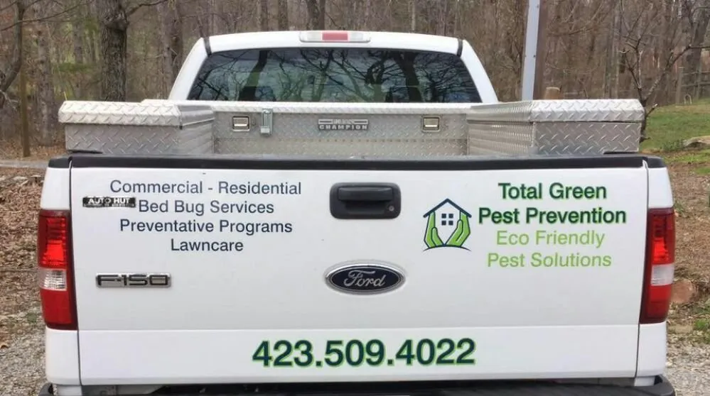 Expert yard cleanup service experts serving Rising Fawn, GA - Total Green Pest Prevention