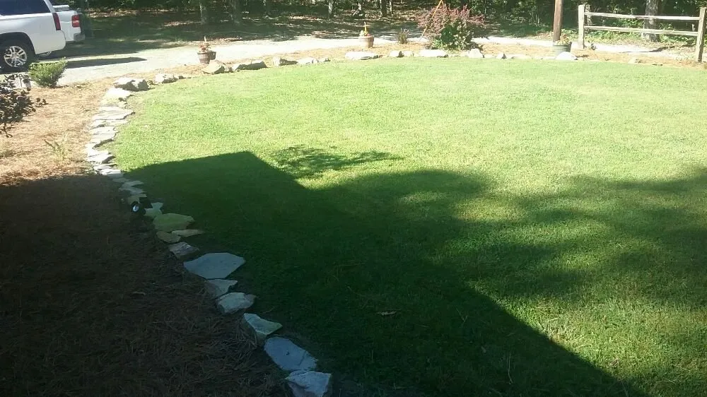 Affordable yard cleanup service for beautiful yards across Rising Fawn, GA - Total Green Pest Prevention