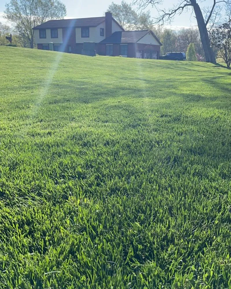 Reliable outdoor landscaping experts serving Union, KY - Total Green