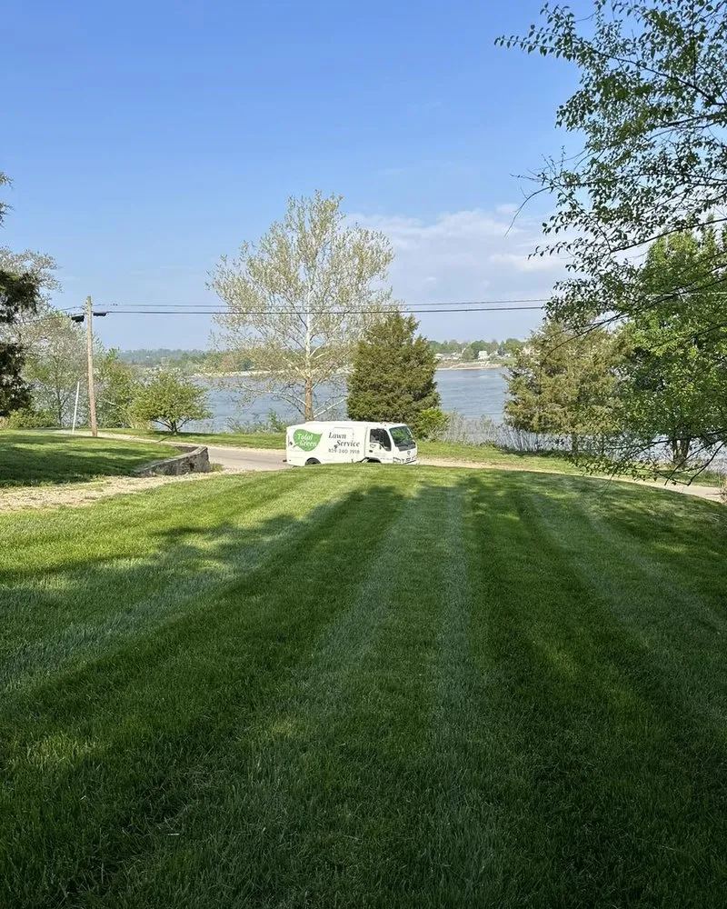 Affordable yard maintenance in Union, KY by Total Green