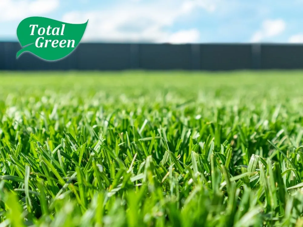 Top-rated garden landscaping experts serving Union, KY - Total Green