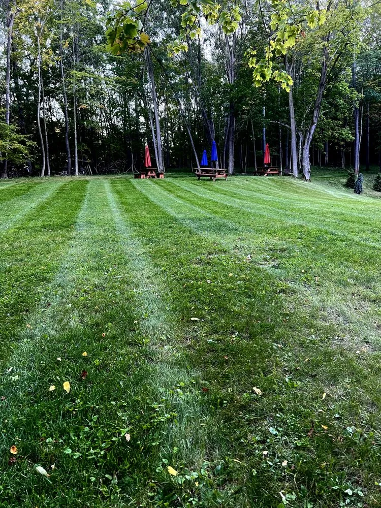 Reliable outdoor landscaping in Mount Morris, NY - Total Ground Care