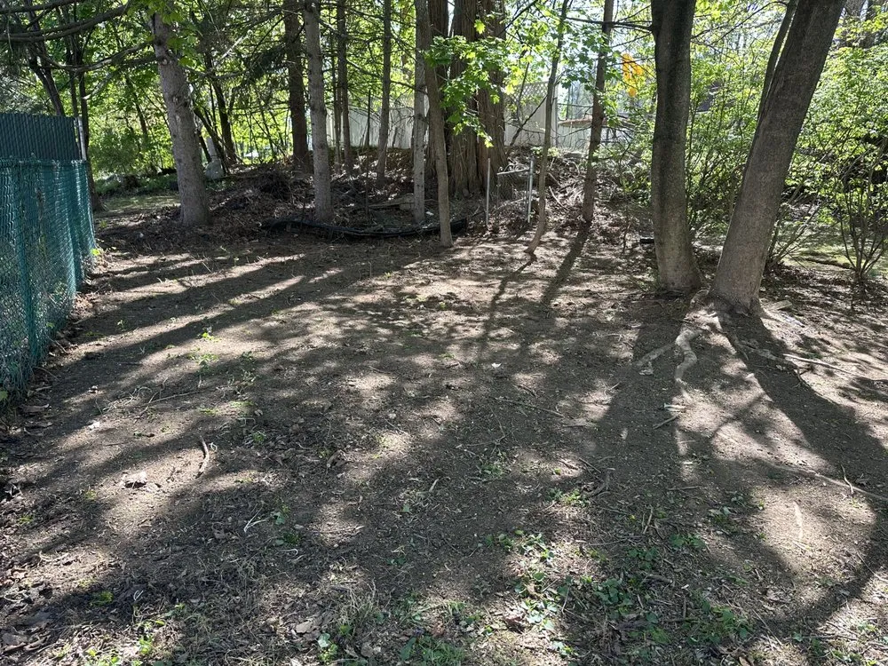 Expert lawn care service in Newburgh, NY - Total Grounds