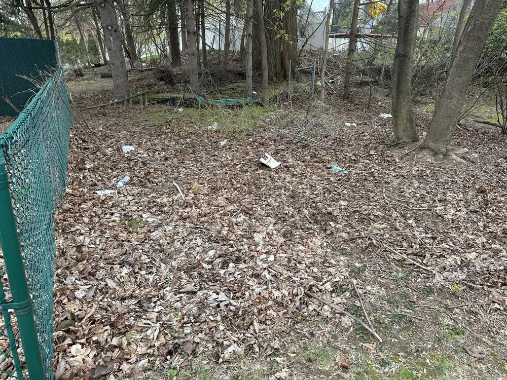 Professional yard cleanup service experts serving Newburgh, NY - Total Grounds