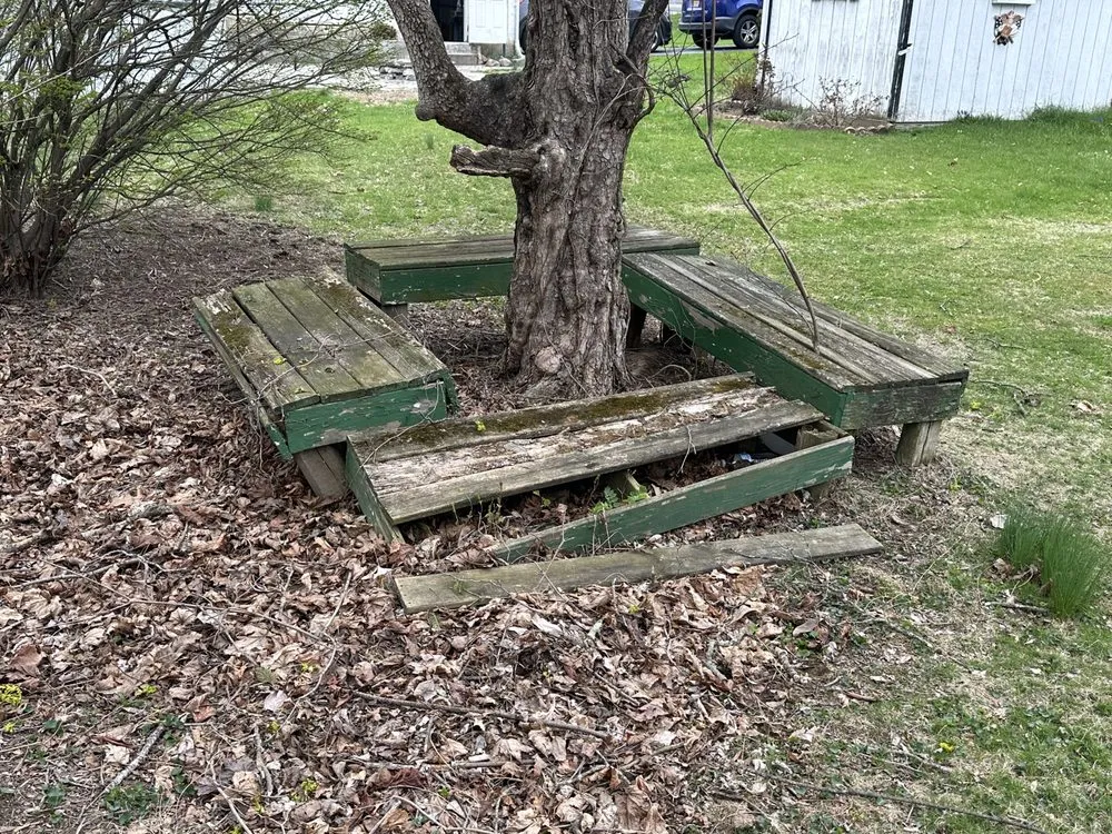 Top-rated yard cleanup service experts serving Newburgh, NY - Total Grounds